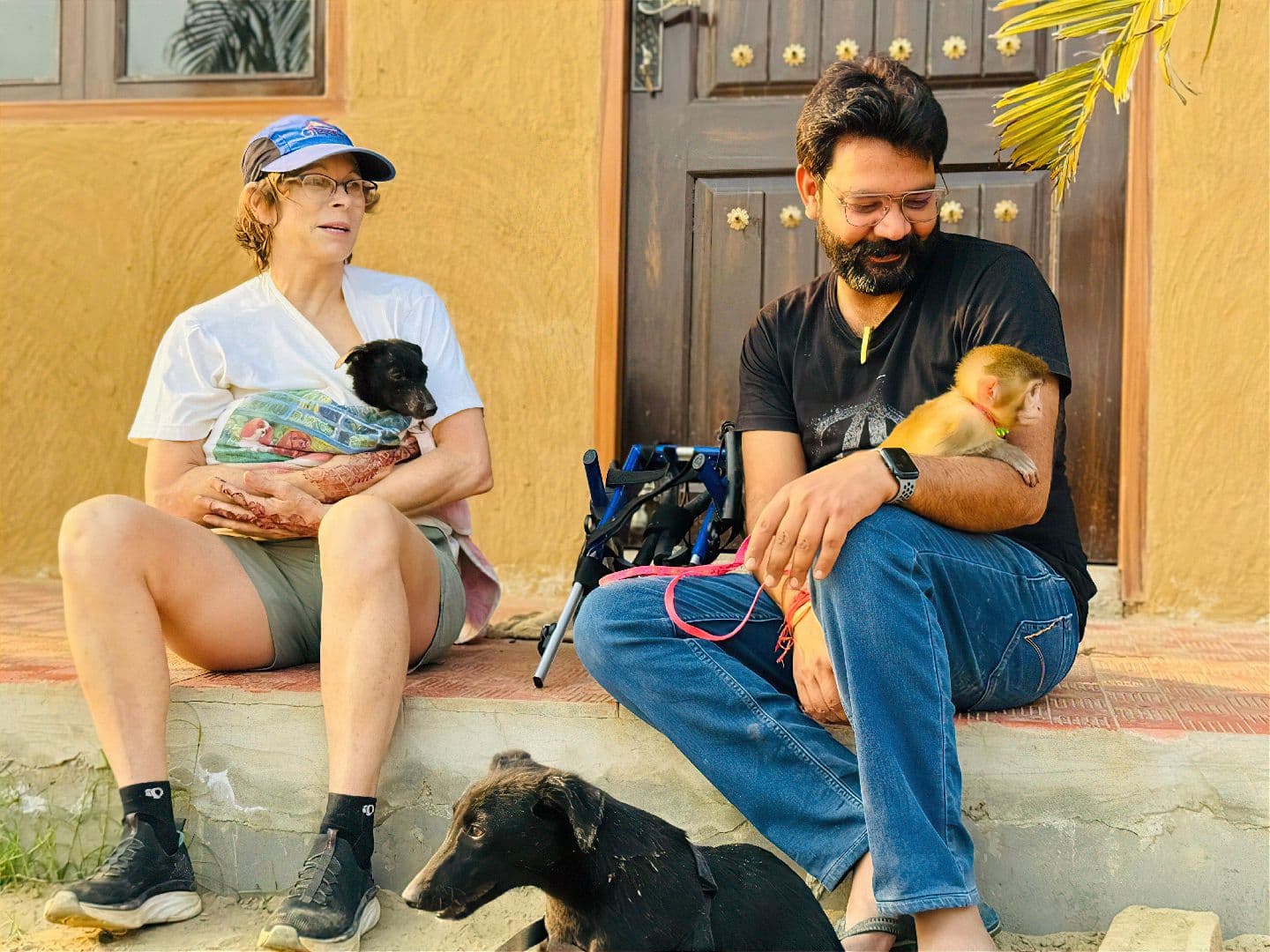 Happy dog at shelter